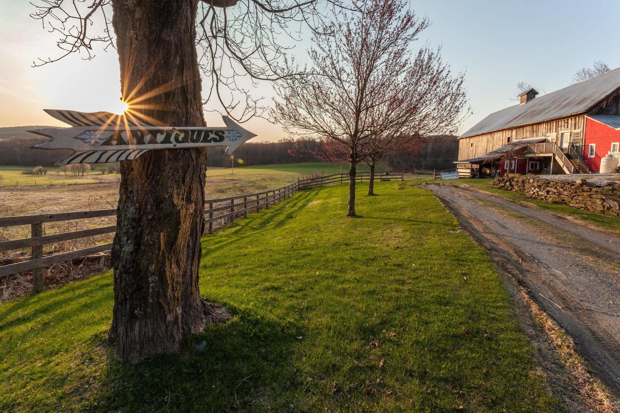 Inn At Buck Hollow Farm Fairfax Εξωτερικό φωτογραφία